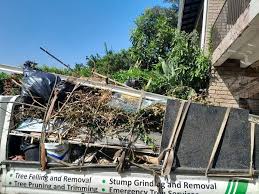 Best Yard Waste Removal  in Wailua, HI